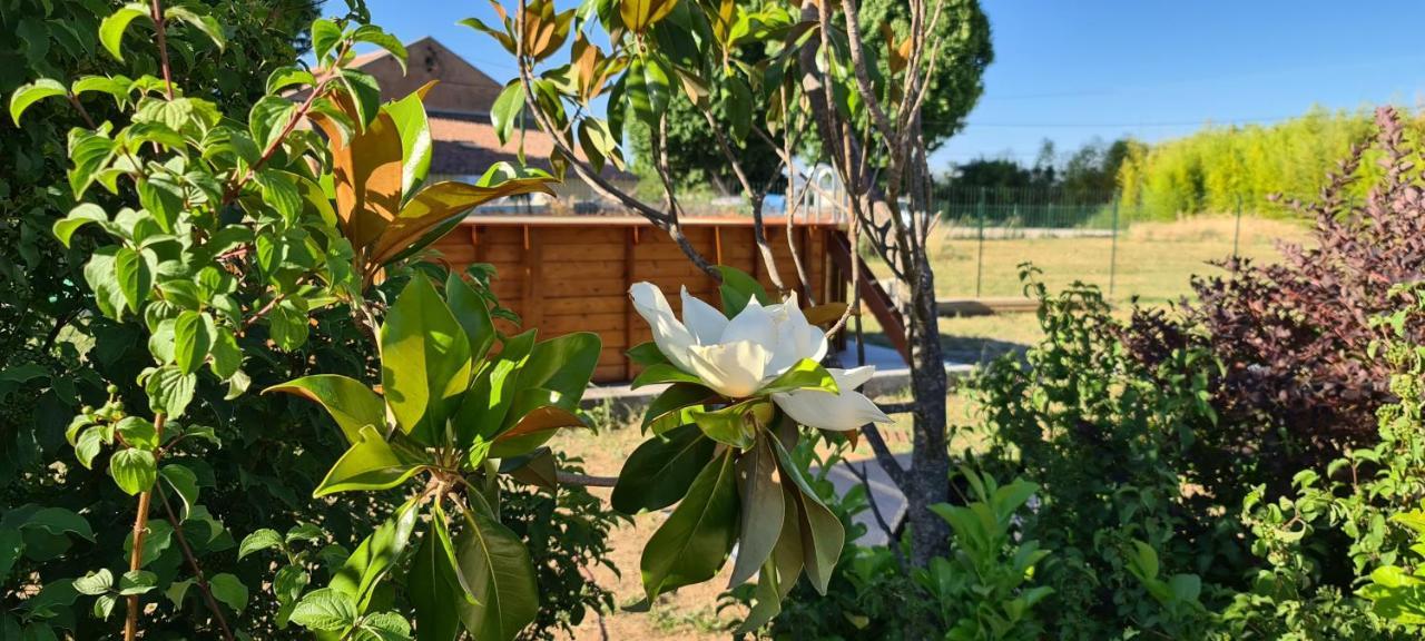 Ferienwohnung Mas Gabelys Superbe Vue Sainte Victoire Jardin Terrasse Et Piscine Trets Exterior foto