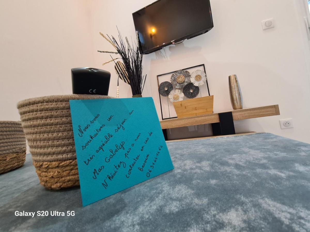 Ferienwohnung Mas Gabelys Superbe Vue Sainte Victoire Jardin Terrasse Et Piscine Trets Exterior foto